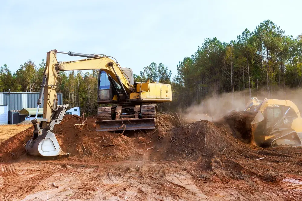 worksite forest