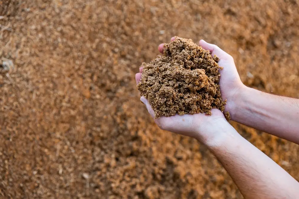 Biomass recovery