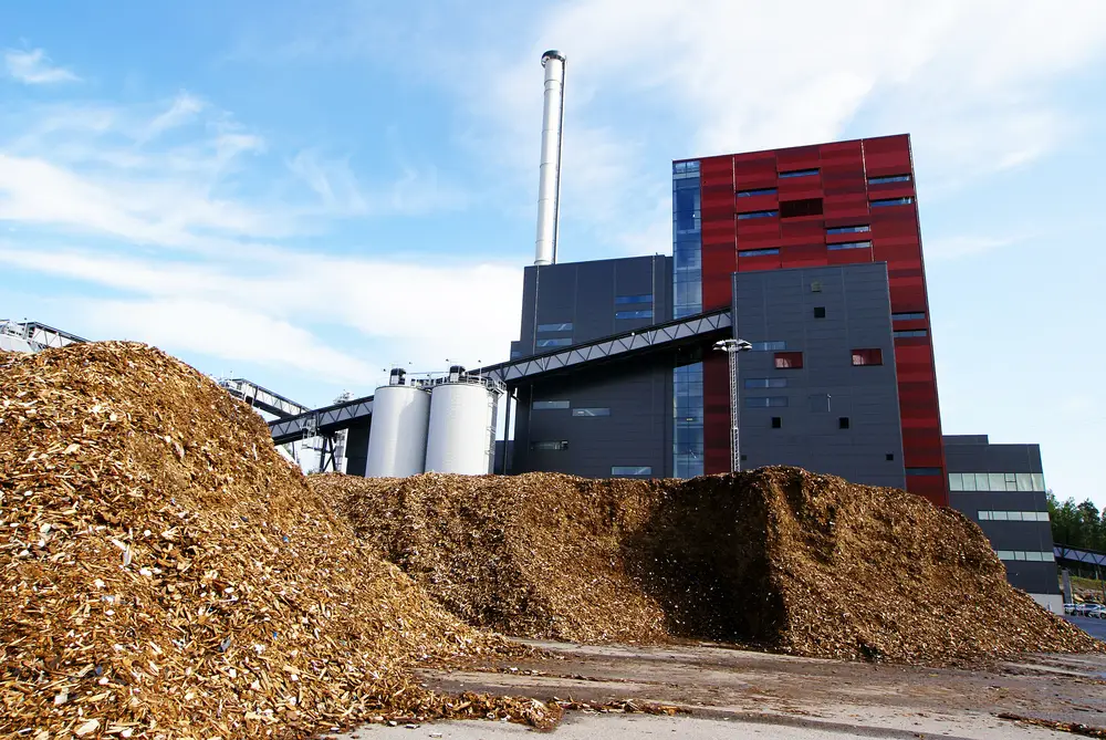 biomass recovery technology