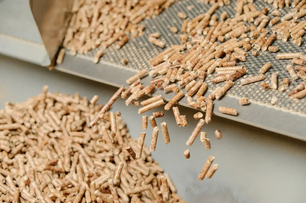 biomass recovery technology