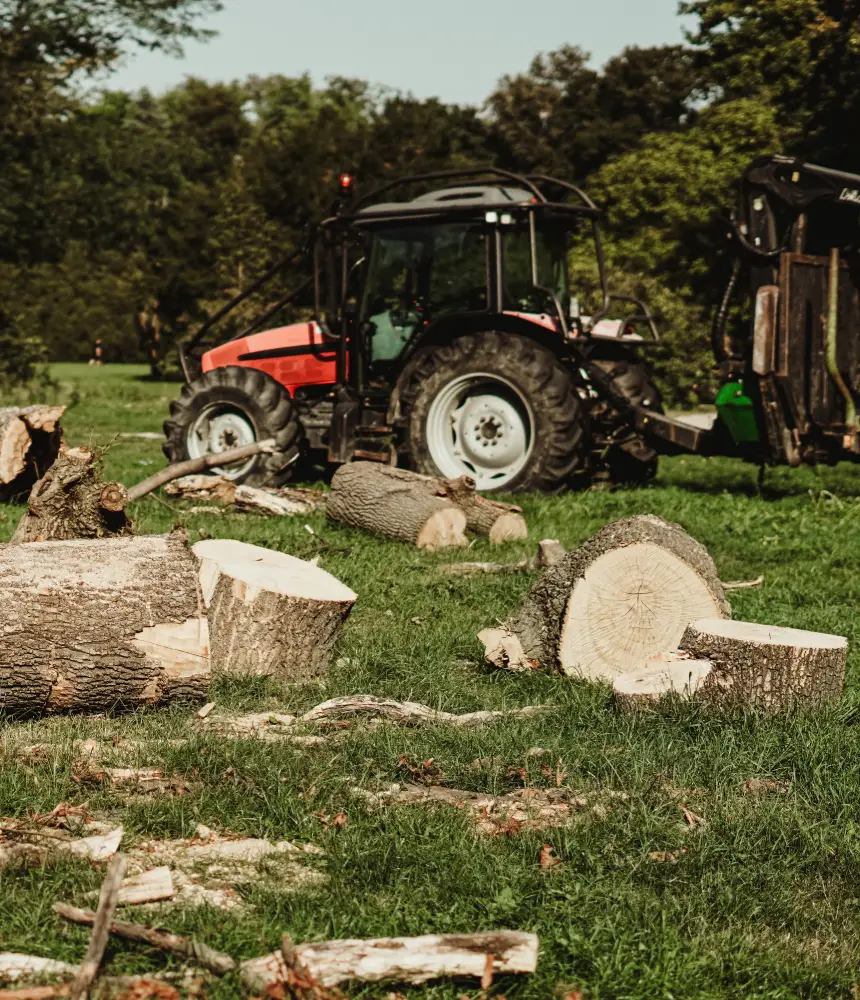 forestry operations