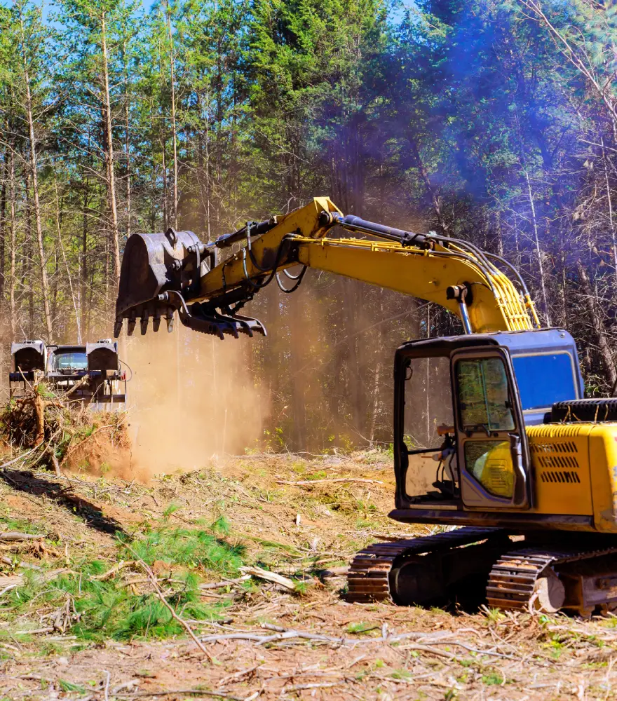 land clearing