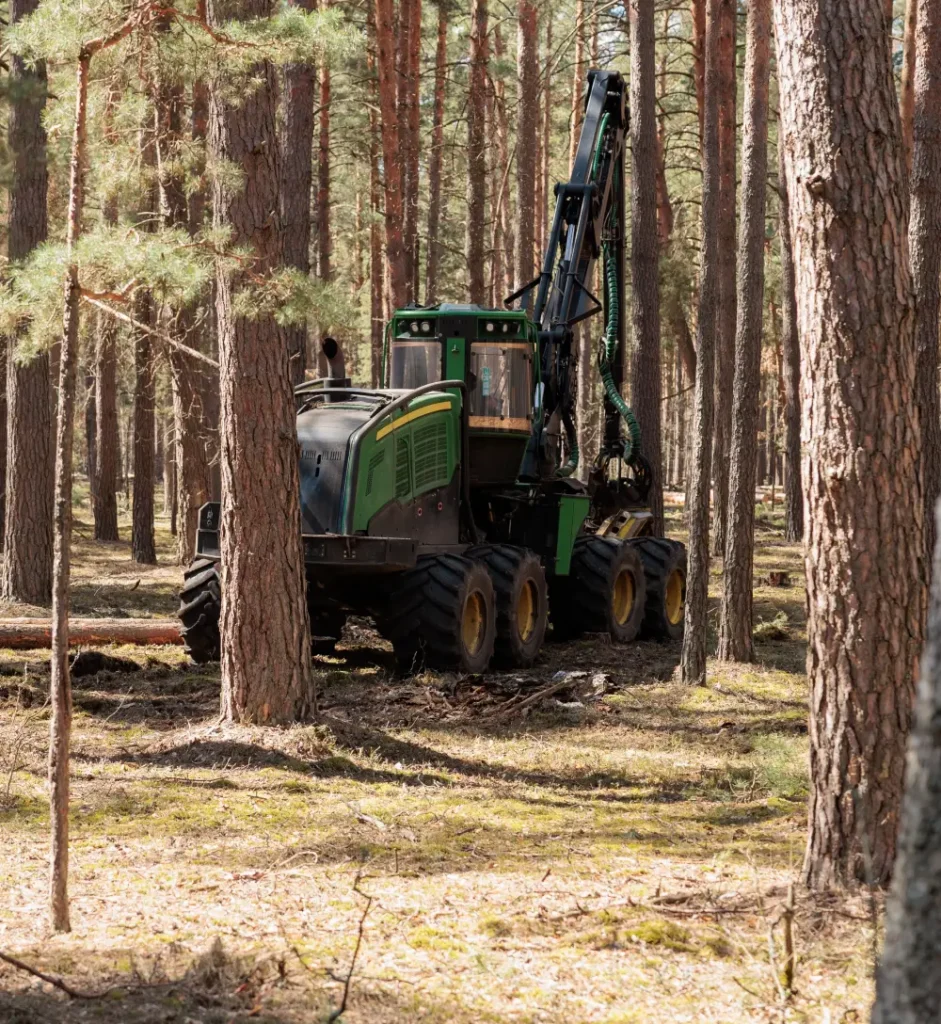 timber harvesting